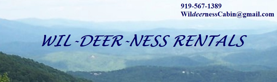 Banner - Mountain view from the Blue Ridge Parkway