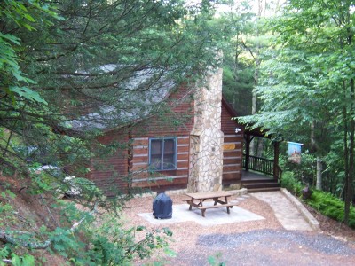 Wil-deer-ness Cabin