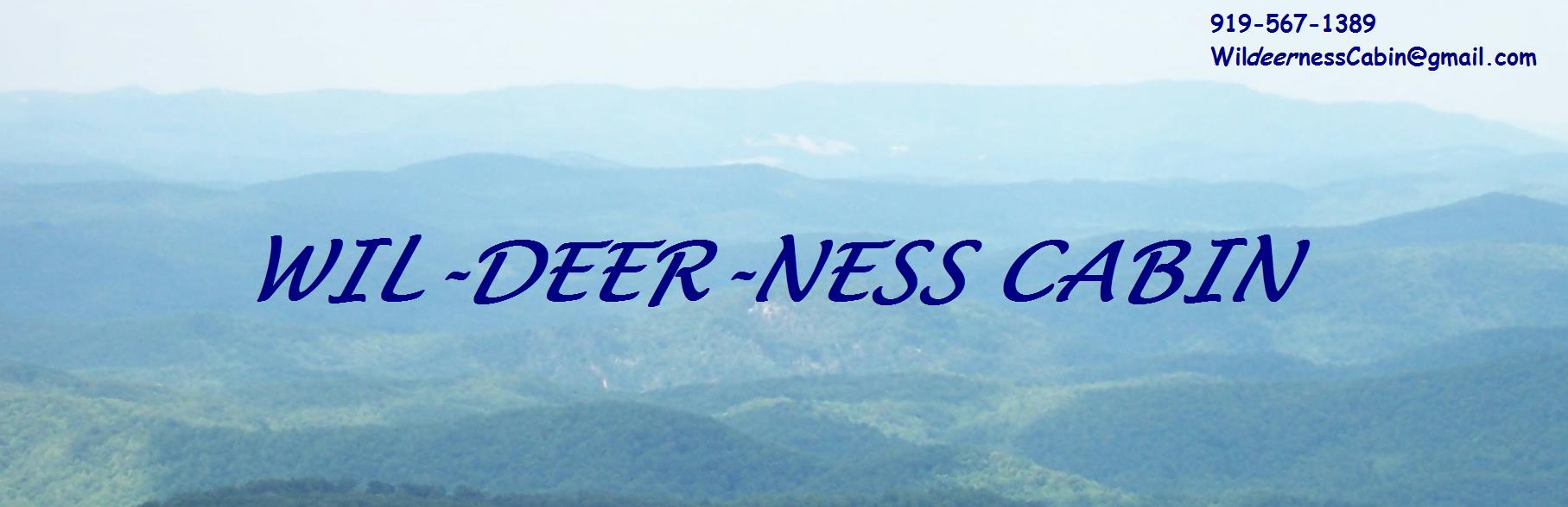 Banner - Mountain view from the Blue Ridge Parkway